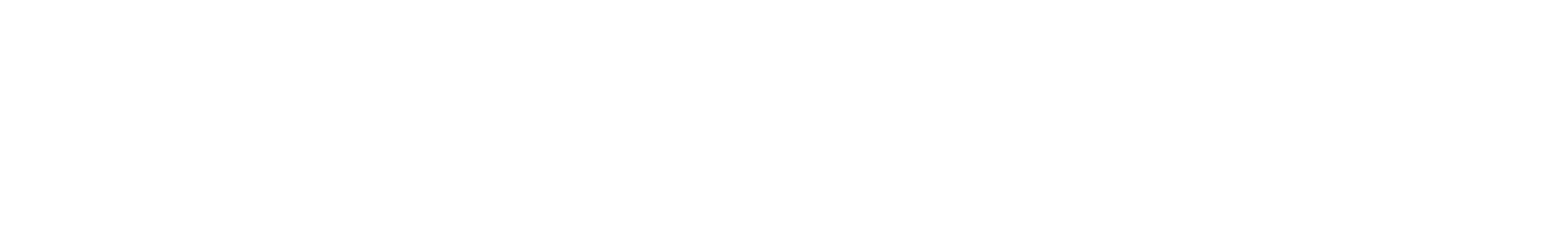 Logo Overlog srl